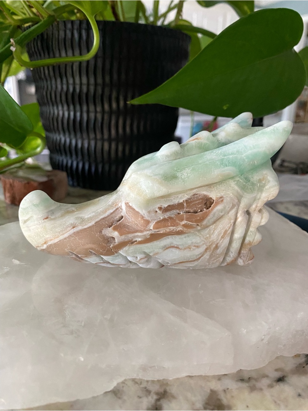 🐉🌊 Caribbean Calcite Dragon Heads — Guardians of the Mystical